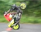 Yamaha T MAX gumowanie na Jamajce jamaica wheelie