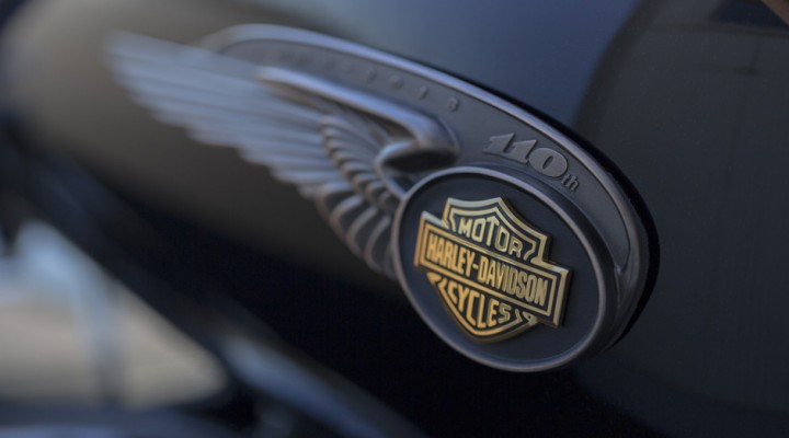 Anniversary 110 Harley Davidson