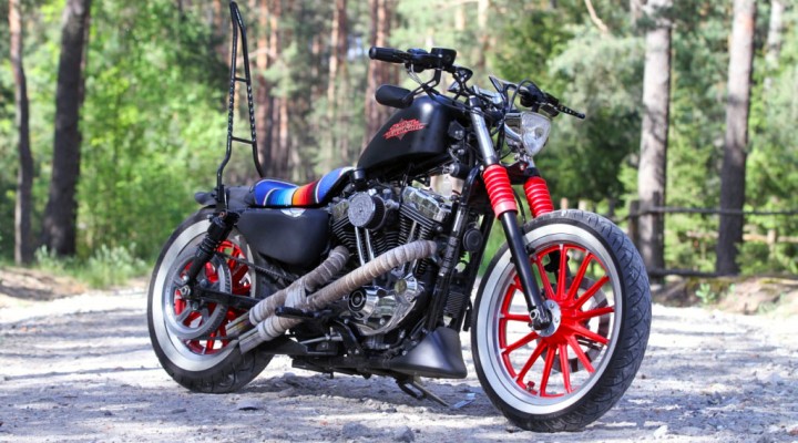 13 Custom Harley Davidson Sportster plener z