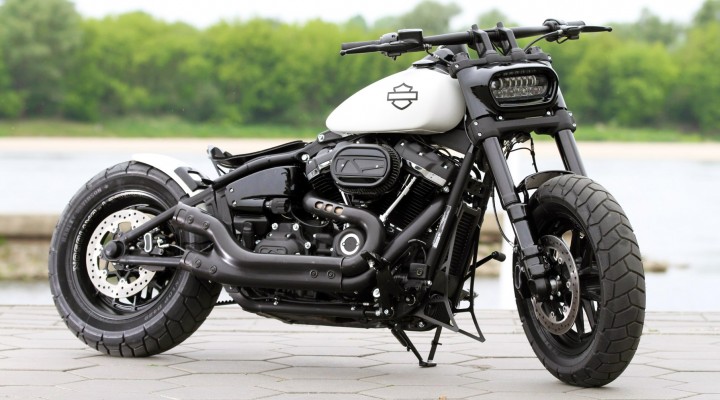 Harley Davidson Fat Bob custom bike z