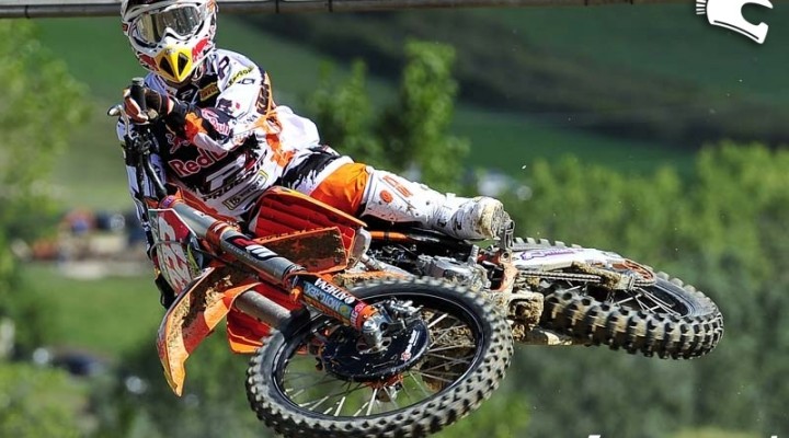 Cairoli MX Champion