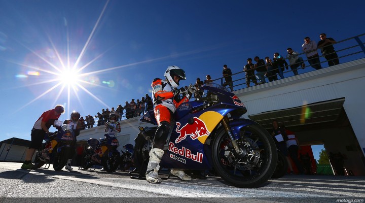 red bull rookies cup selection 2014 z