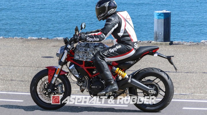 2017 ducati monster 803 z