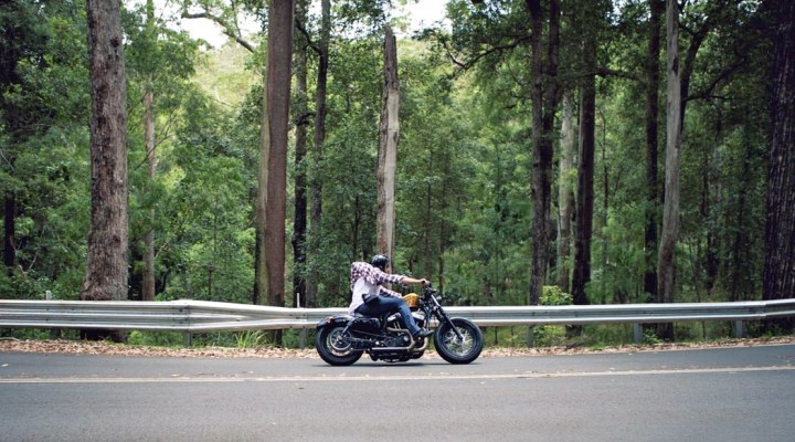 moto ride forest z