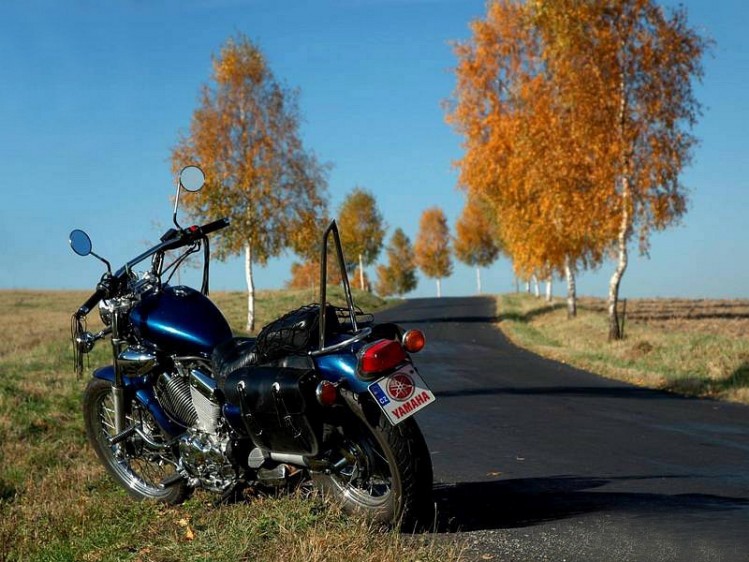 yamaha virago sissy bar