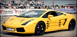 lambo vistula