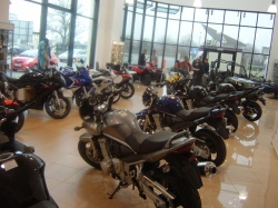 Suzuki Free Fun