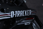 Logo Kawasaki D-Tracker 2010