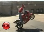 Honda CBR 600 F3 stunt
