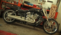 miesniak w garazu Harley Davidson V Rod Muscle