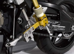 lewa stopa robota flossie