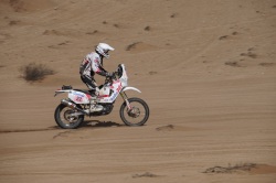 Jarmuz Krzysiek na Atacamie