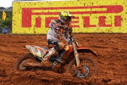Cairoli brazylia