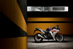 w Garazu Honda CBR250R 2011