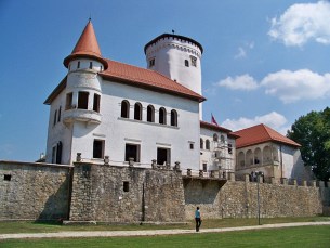 zamek Zylina