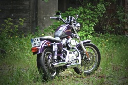 Harley Davidson Sportster 1200 od tylu