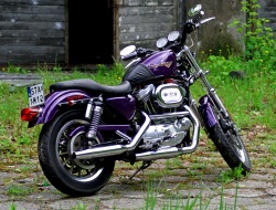 Harley Davidson Sportster 1200 prawy tyl 2