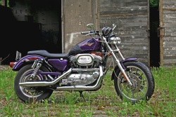 Harley Davidson Sportster 1200 profil