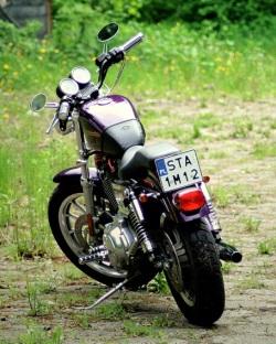 Harley Davidson Sportster 1200 tyl