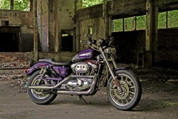 Harley Davidson Sportster 1200 w magazynie