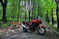 Suzuki Bandit 1200 1997 w lesie