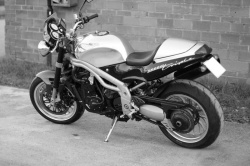 Speed Triple 955 black and white