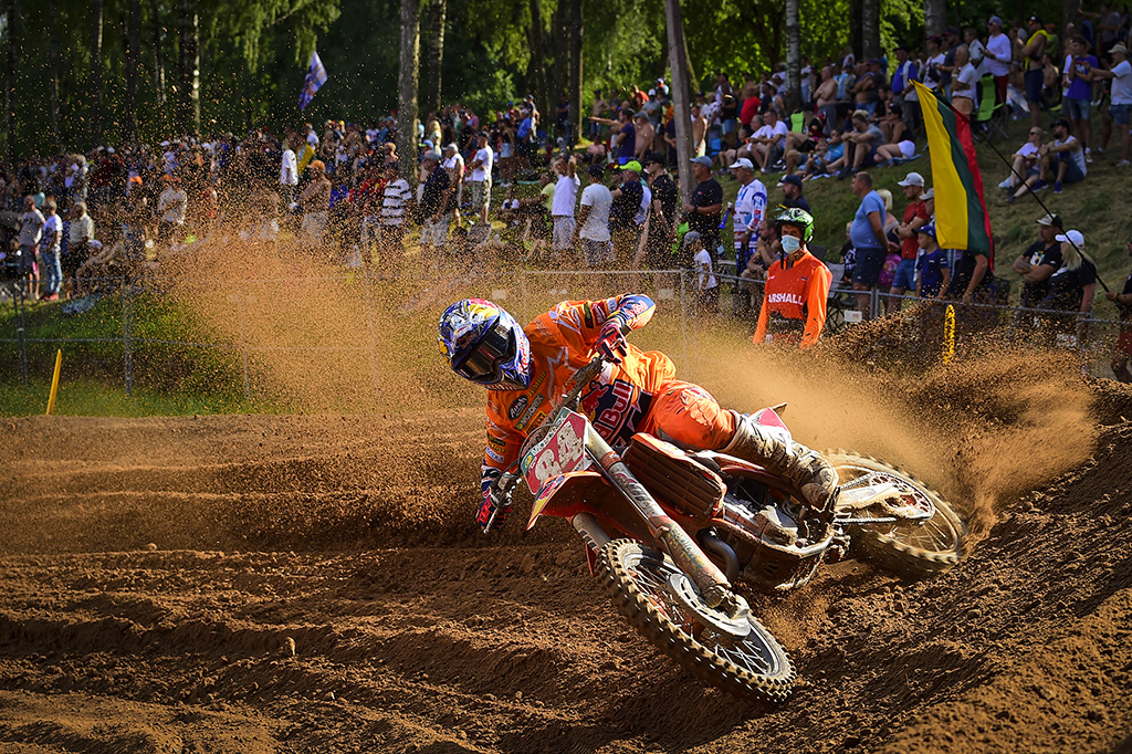 Herlings z
