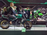 EICMA 2021 - powrót wielkich targów motocyklowych [GALERIA ZDJĘĆ]