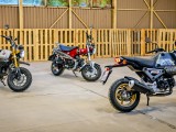 Honda DAX, Grom, Monkey. Jak kultowe motorynki 125 wyglądają współcześnie?
