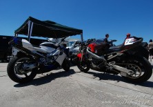 German Open 2010 226