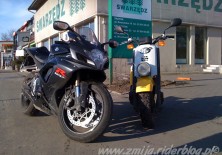 Wycieczka z Andrewem