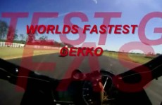 Najszybszy gekon na R1