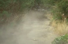 EDUB stuntuje na nowym Trampku