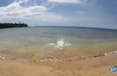 Julien Welsch wyrusza do Australii - stunt videoblog