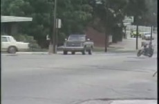 Pies jako pasazer na motocyklu