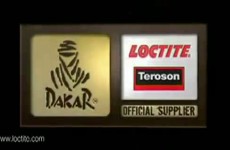 Rajd Dakar 2011 - etap XIII