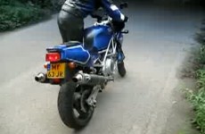 TRX850 na wydechach Termignoni