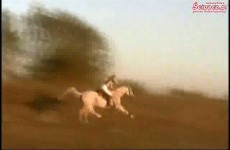 cz3 wyscig kon vs moto