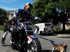 jazda motocyklem z psem