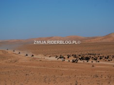 Quady pustynia Sahara