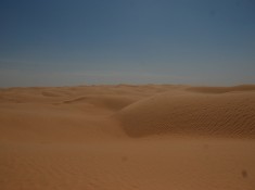 Bezdroza pustyni