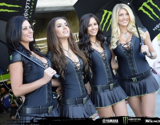 Monster Girls MotoGP Indianapols 2012