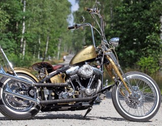 Harley Davidson FXST Softail Standard w wersji custom z