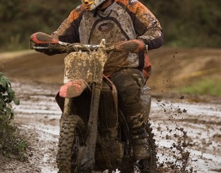 honda bloto oborniki