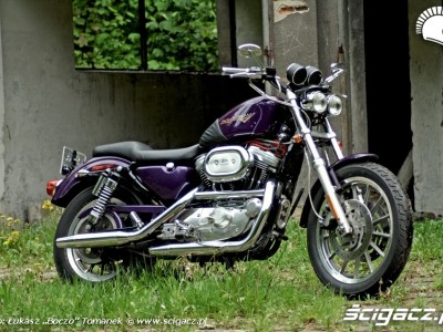 Harley Davidson Sportster 1200 1