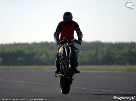 suzuki gsxr1000 model 2003 1