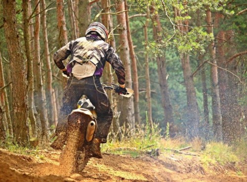 Motocykliści ukarani mandatami. Złamali zakaz wjazdu do lasu  