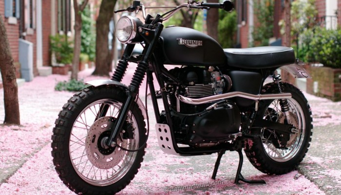 Jack Pine - Triumph Scrambler z dwudniowym zarostem
