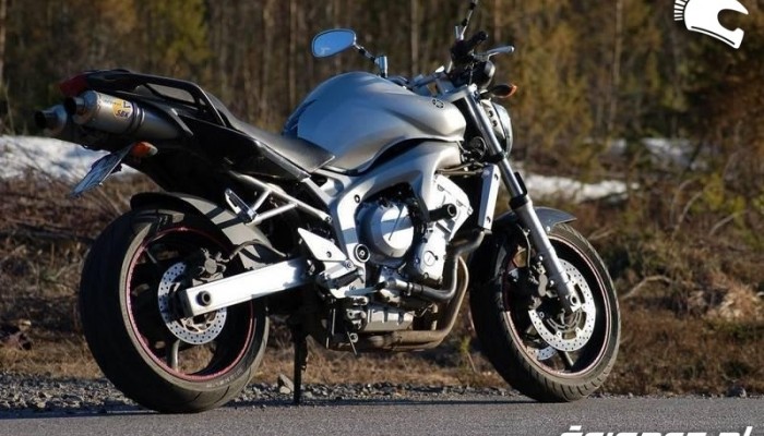 LeoVince - nowa witryna z nowymi funkcjami