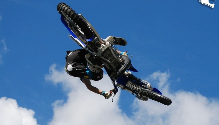 Best Whip - czyli wy�am jak najmocniej